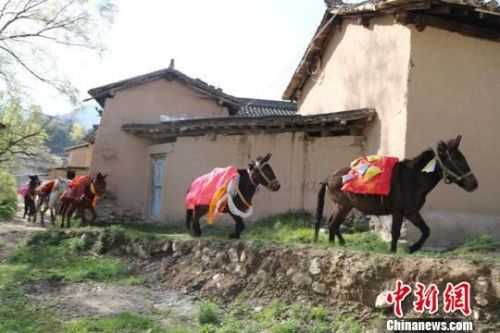 图为“跑马节”民俗活动。　汪江海 摄