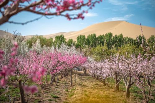 “行游酒泉 穿越千年” 灵感旅行家春季线下采编活动圆满落幕