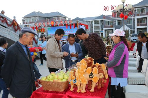 妇女参与旅游服务