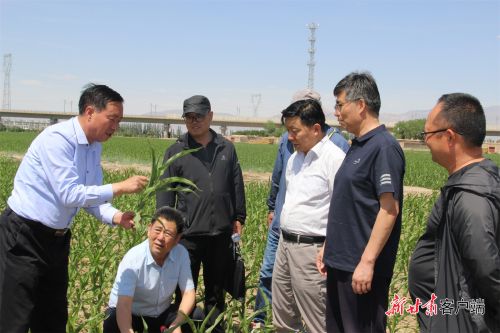 FZ100411390251_A3149775