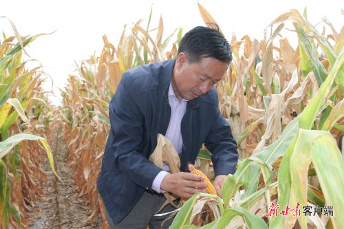 FZ100411390251_A3149773