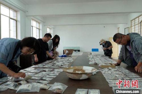 南佐遗址考古基地的整理室内，发掘出土各类器物琳琅满目，吸引观者关注。　<a target='_blank'  data-cke-saved-href='/' href='/'>中新社</a>记者 孙自法 摄