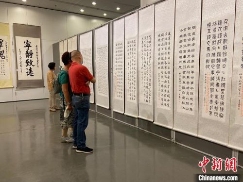 观众观赏书法作品。　魏华都 　摄