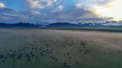 甘肃山丹马场：峡谷云雾似仙境。 王超摄