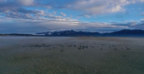 甘肃山丹马场：峡谷云雾似仙境。 王超摄