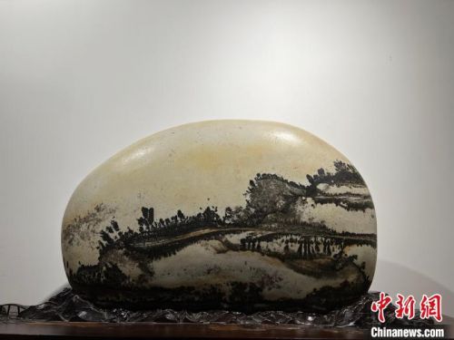 图为黄河奇石纹路似苍山翠树。　杨娜 摄