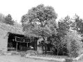 甘肃康乐西蜂窝寺：只比洛阳白马寺晚16年的古寺