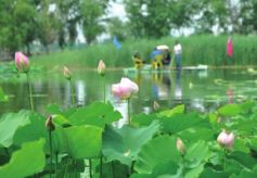 兰州市榆中县依托区位优势 打造西北花卉休闲旅游胜地