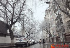 春雪金城的城市慢生活