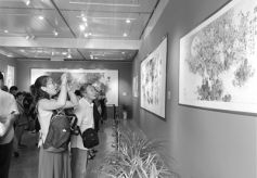 甘肃艺术大家陈伯希作品回顾展在省博物馆开幕