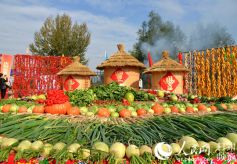 兰州市首届“中国农民丰收节”主会场庆祝活动展示58种农产品