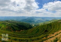 甘肃庄浪乡村旅游铺致富路 梯田里奏响幸福交响曲