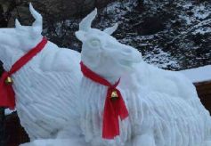 甘肃宕昌：冰雪节让冬季美景不再沉睡