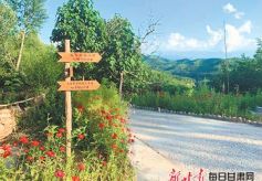 张掖两项目在全省文化旅游产业项目建设推进会上签约