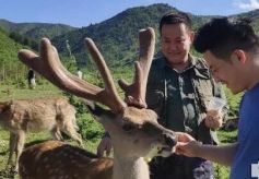 甘肃卓生首届旅游文化节正式启动