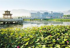 水面清圆风荷举 白银水川花意浓