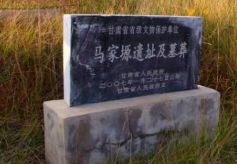 甘肃马家塬西戎墓地 出土墓葬70多座