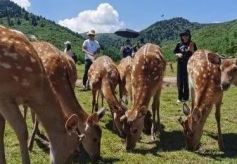 甘肃渭源推乡村游：“文化招牌”引客踏寻渭水源头