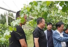 甘肃三农在线采访组赴敦煌市采访农技推广工作