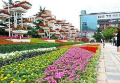甘肃最宜居的城市也是一座美女之城 你了解天水这座城市吗
