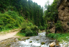 甘肃最有潜力的旅行地，景色媲美香格里拉，曾被誉为东方小瑞士