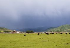 走进圣山牧场　夏河县安果藏寨