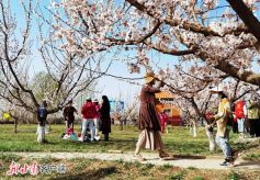 张掖市甘州区“百花节”系列活动拉开序幕