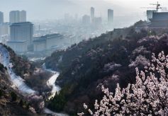 人间四月西岩山，烟云袅袅，恍若天上人间