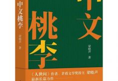 梁晓声：为80后中文系大学生写一本书