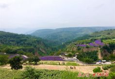 乡村美景入画来　平凉市崆峒区推进乡村旅游高质量发展