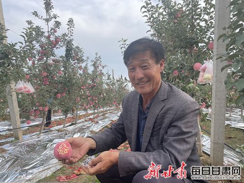 灵台县红丰源家庭农场矮化密植园负责人章宏岐.jpg