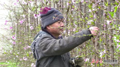 魏建斌在大棚里忙碌着.png