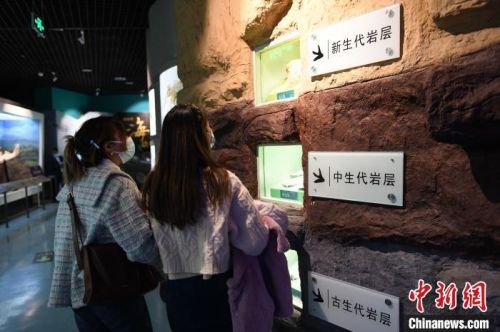 图为游客在参观古生代、中生代、新生代岩层发现的古生物化石。　戴文昌 摄