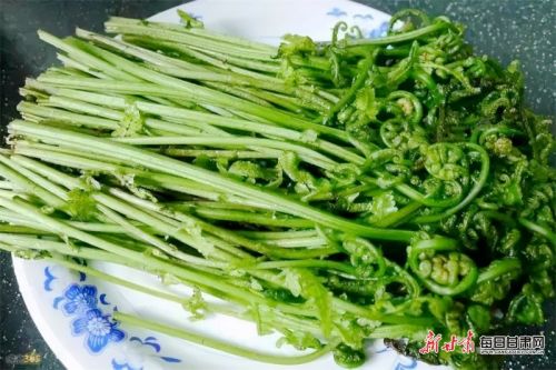 华亭时令野菜鲜2（蕨菜）.jpg