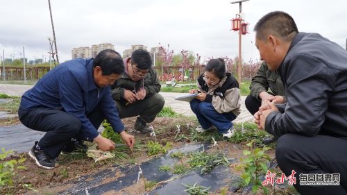 李建民在试验田指导技术人员.JPG