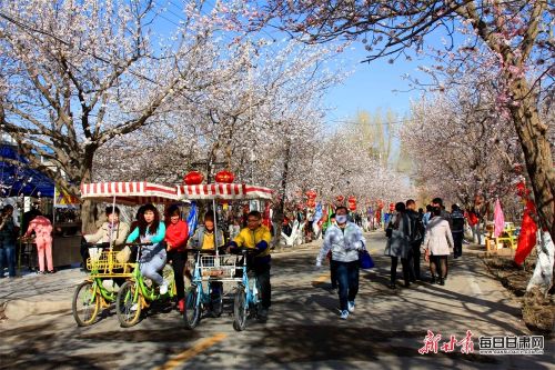 3.金塔镇杏花村乡村旅游景区.jpg