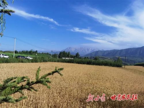 813568376b4cd43f95fa3b91778c49b 图片