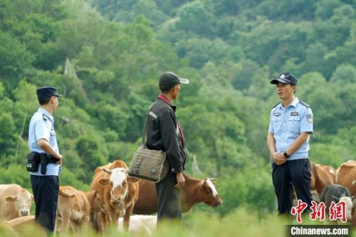 图为天水市张家川县马鹿派出所所长马明(右一)和同事在林区巡逻。(资料图)张家川县公安局供图