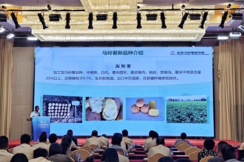 定西马铃薯研究所王廷辉作交流分享。人民网记者 米媛摄
