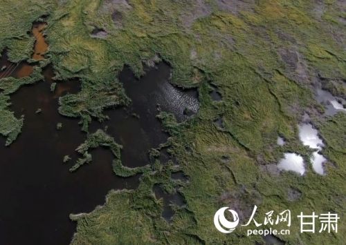 无人机俯拍青土湖。人民网记者 邵兰摄