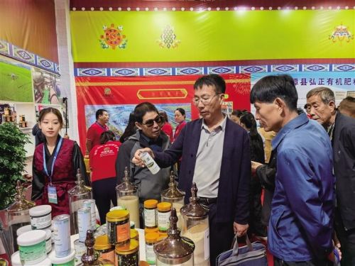 展会现场。(兰州日报摄记者 李昕 摄)