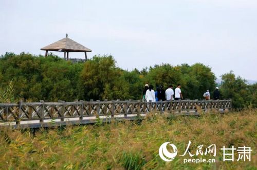 秦王川国家湿地公园。人民网记者 米媛摄