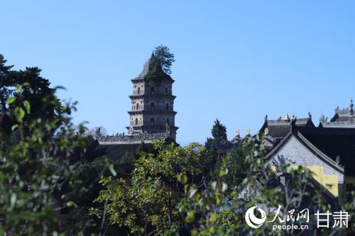 崆峒山凌空塔，松韵天成。人民网记者 米媛摄