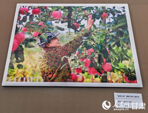 “瑞果之光”摄影长廊展示作品。人民日报记者 银燕摄