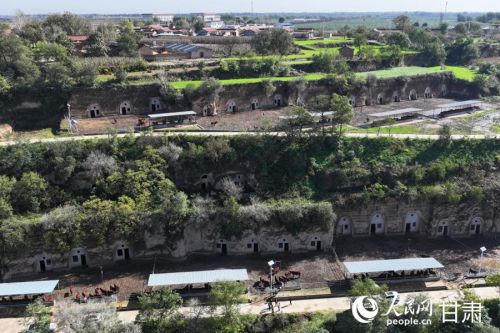 航拍黄寨镇甘庄村的窑洞养牛示范点。人民网记者 焦隆摄