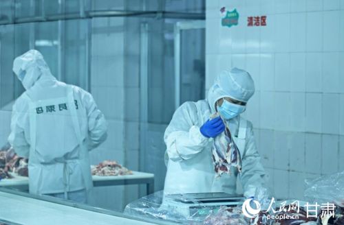 甘肃旭康公司车间内，工人们分装雪花牛肉。人民网记者 米媛摄