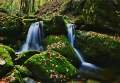 陇南冬韵·序章：秋色未央，山水渐白