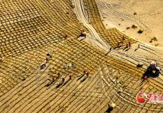 甘肃肃南：初冬时节巴丹吉林沙漠忙“锁边”