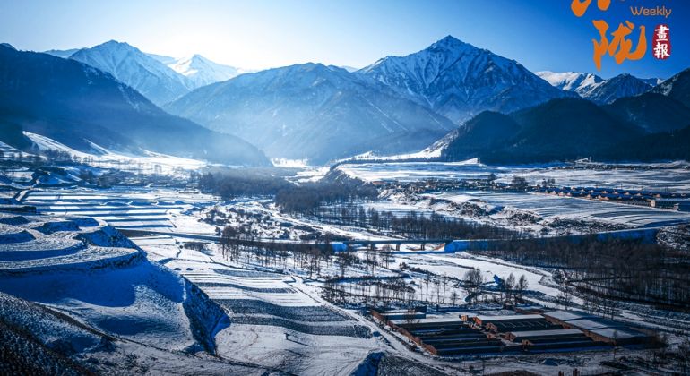 天祝哈溪：白雪绿林同框 冬日浪漫如画境