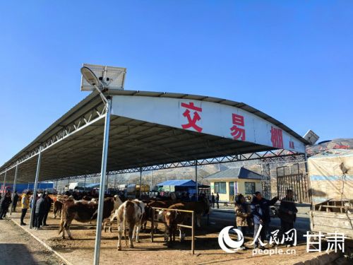 陇西县云田镇牛羊交易集散中心。人民网记者 高翔摄